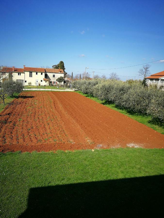 Ljubica Apartment Žbandaj Екстериор снимка